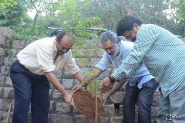  Venkatesh At Haritha Haaram Event